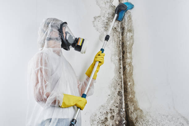 Best Dehumidification Services  in Gananda, NY